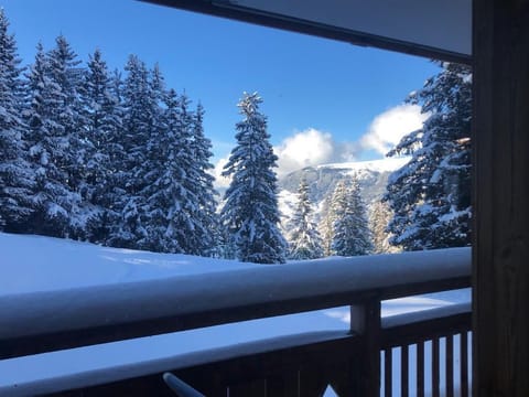 View from the balcony - Jan 2023