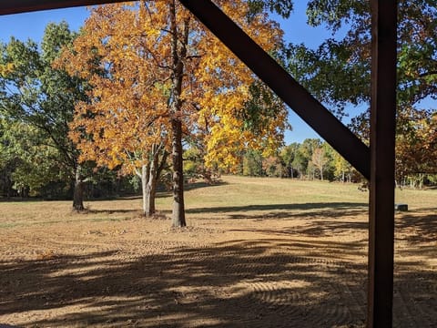 Fall view from porch