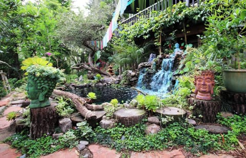 Luscious grounds in wet seasons.  Pond area may not be as green in dry seasons. 