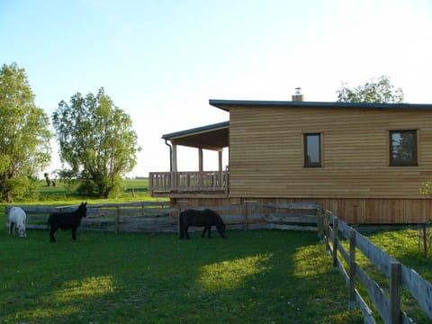 External view of the building