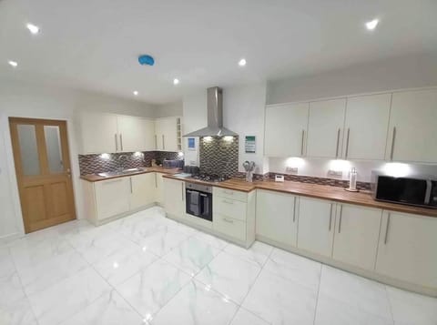 Modern Open Space Kitchen and Dinning Room