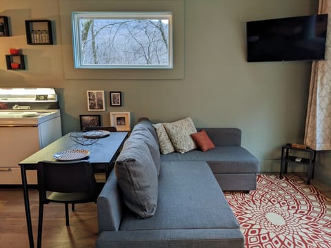 Our comfy couch pulls out to make a full size bed