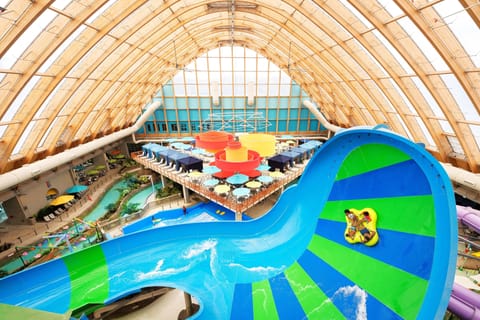 Dive into thrilling indoor waterpark fun with giant slides.