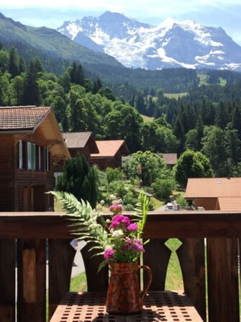 View from small balcony 