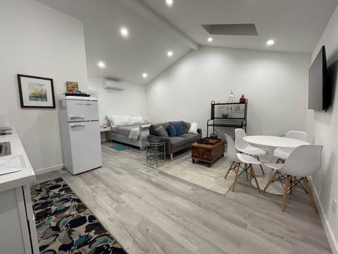 Bright main room with skylight and AC/Heat split