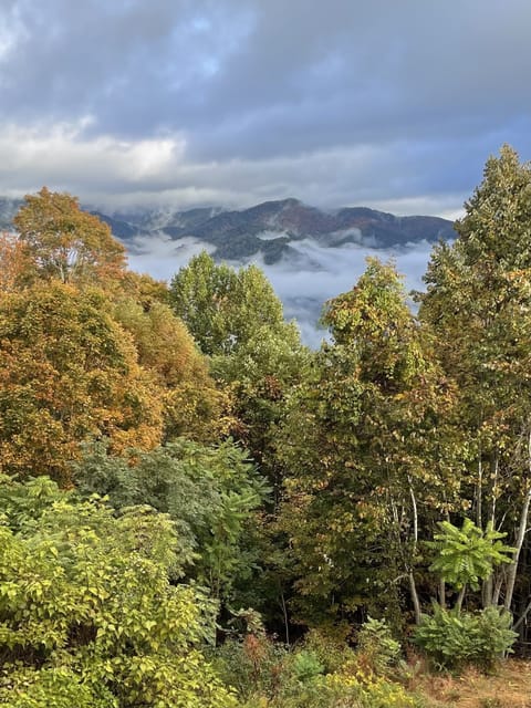 Spend this Autumn soaking in this view from  the hot tub at Eagles Nest.
