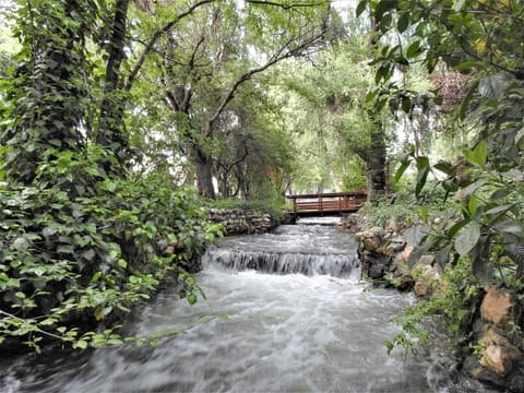 03fc9f31-b000-4055-816b-ded440e1f547