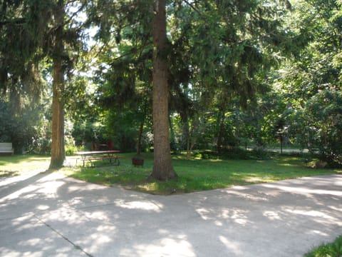 Our large yard (south end of property) has a picnic table and plenty of parking.