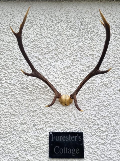 Front door of Foresters