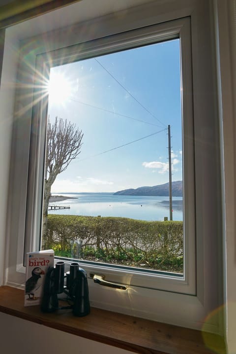 View from the kitchen window. 