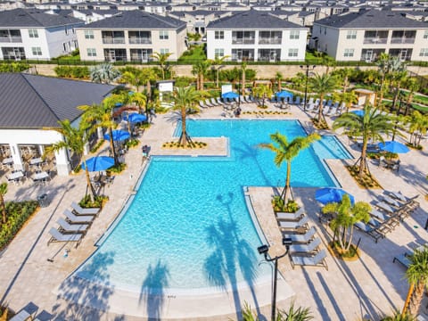 Resort-Style Swimming Pool with Sun Loungers and Palm Trees