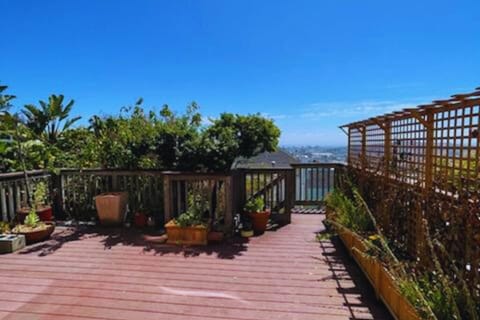 Sunny deck with plants