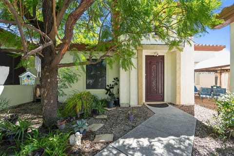 Path, Walkway, Flagstone, Tree, Garden