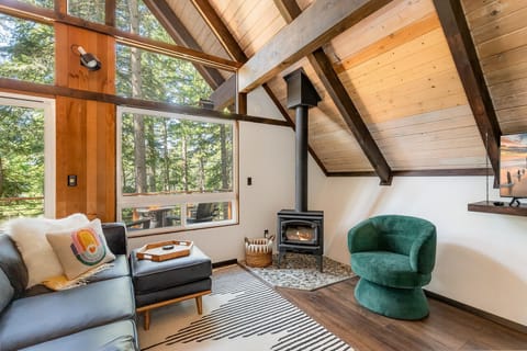 Living room w/ modern sofa, wood burning stove, swivel chair, and smart TV