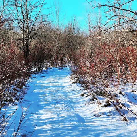 Snow and ski sports