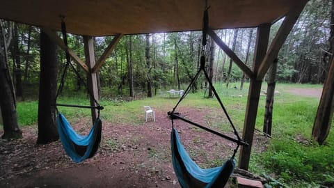 View from the hammock chairs