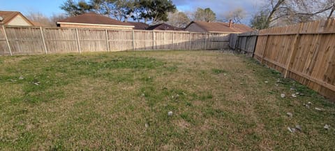 Spacious backyard