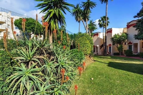 Costarent R133 Caronte sm-25