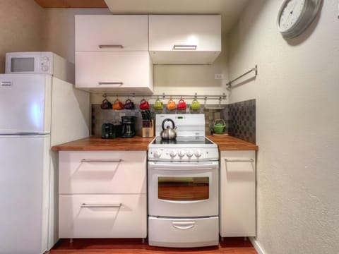 Wood Creek Lodge #406, Crested Butte Vacation Rental - Wood Creek Lodge #406, Crested Butte Vacation Rental