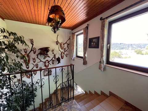 Plant, Property, Window, Light, Wood, Interior Design, Lighting, Houseplant, Floor, Building