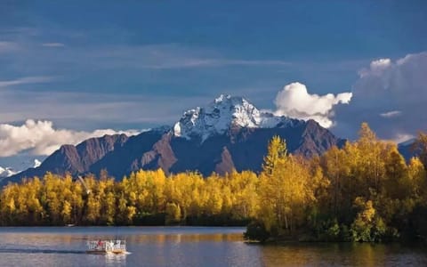 View of Finger Lake.