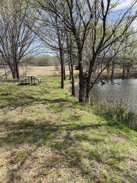 Picnic table at pond