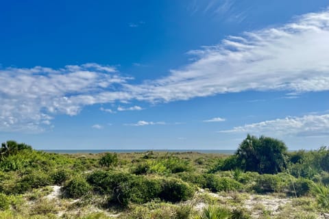 oceanfront view from patio