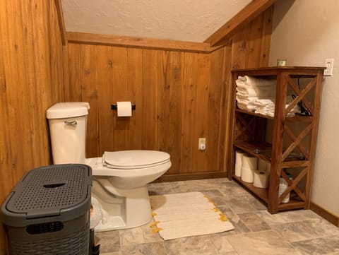 Upstairs toilet
