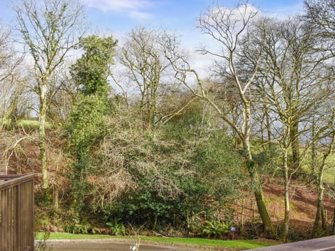 Surrounding area | Squirrel Creek, Callington