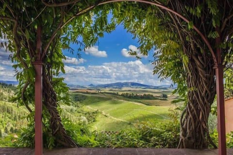 Stunning view from the terrace