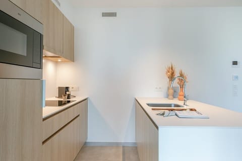 Modern kitchen with everything you need