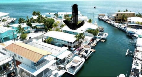 Aerial view of the house , only 4 houses away from the open ocean.