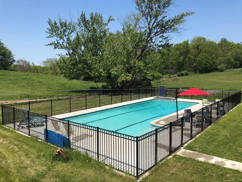 Come swim in the pool, 9 ft deep at the far end, with horses grazing nearby