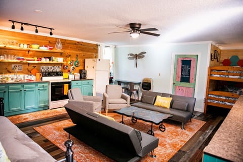 APT 1 Living Room Area 