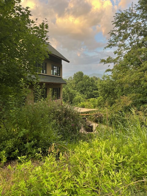 Firepit and seating behind the house