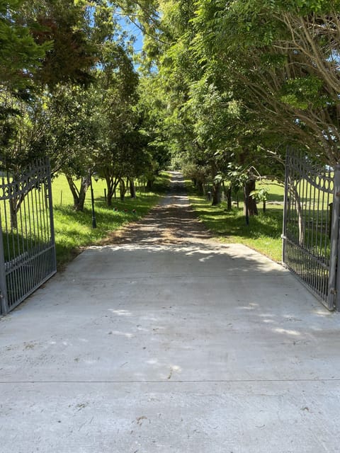 Property grounds