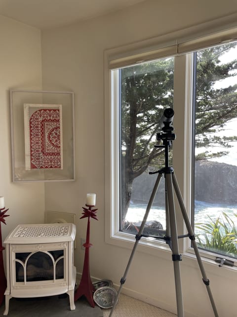 Telescope for whale watching and star gazing