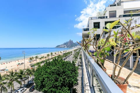Natural landscape,Sea view,Street view