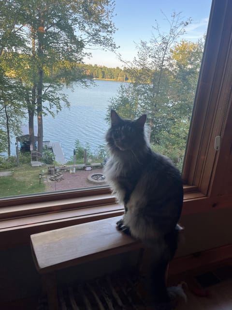 If you have guests allergic to cats/dogs, we bring ours so keep that in mind!