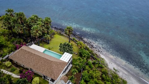 Drone view of the villa and natural surroundings 
