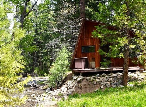 The Cabin sits directly beside Gold Run Creek, surrounded by mature forest.