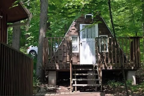 Bunkie next to the cottage, 3 twin beds. it faces the lakfront.