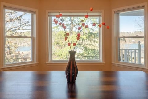 View from Dining room table