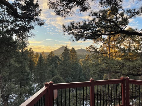 SunsetGroveView