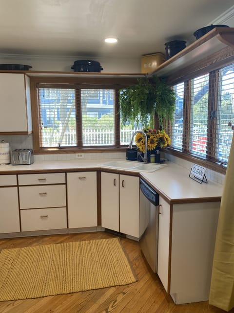 Sometimes, just as the sun is rising, look out and see Deer or a Wild Turkey...