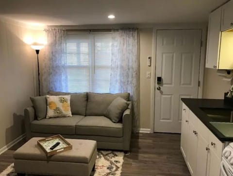 Open concept living area and kitchen with full size pull out sofa.