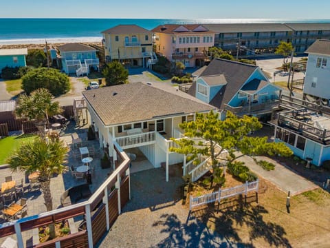 Welcome to Little Bird