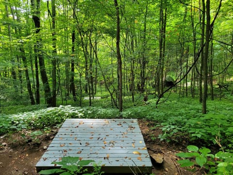 campground with 4 platforms for tents or a session of yoga during your hike