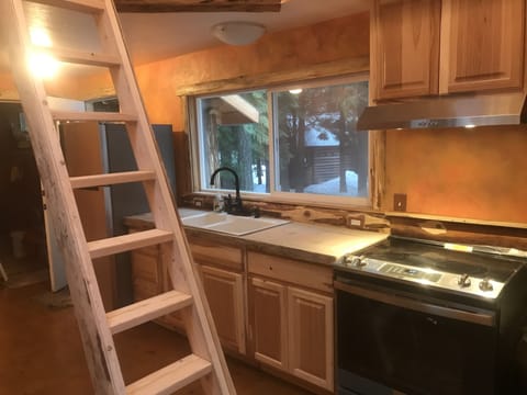 Full size fridge, stove, oven and sink.