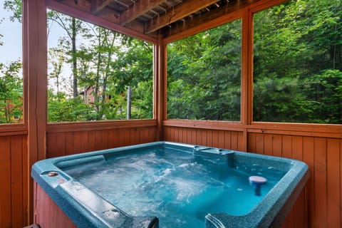 Screened in Hot Tub means no bugs!